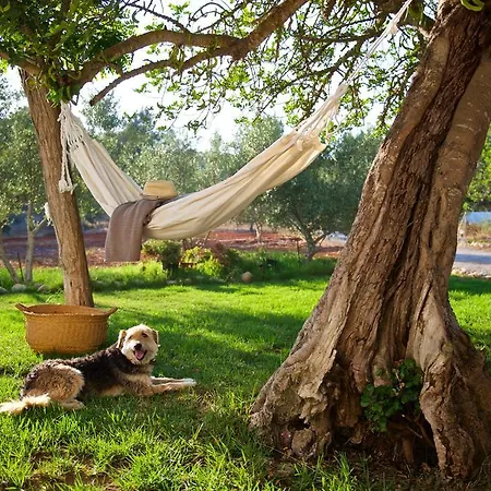 Agroturismo Can Parramatta